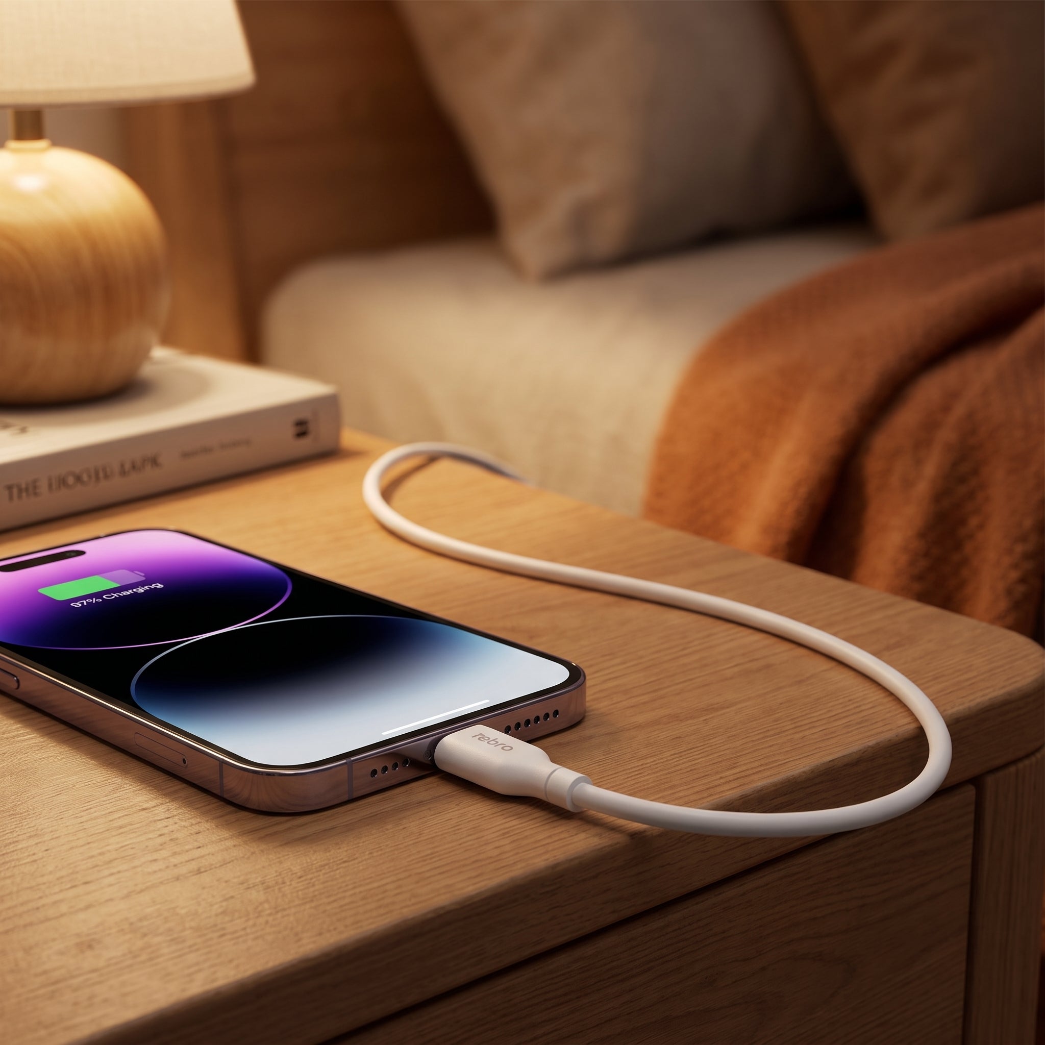 Cable USB-A a USB-C Nebro WD-05T: Carga 30W - Imagen 7
