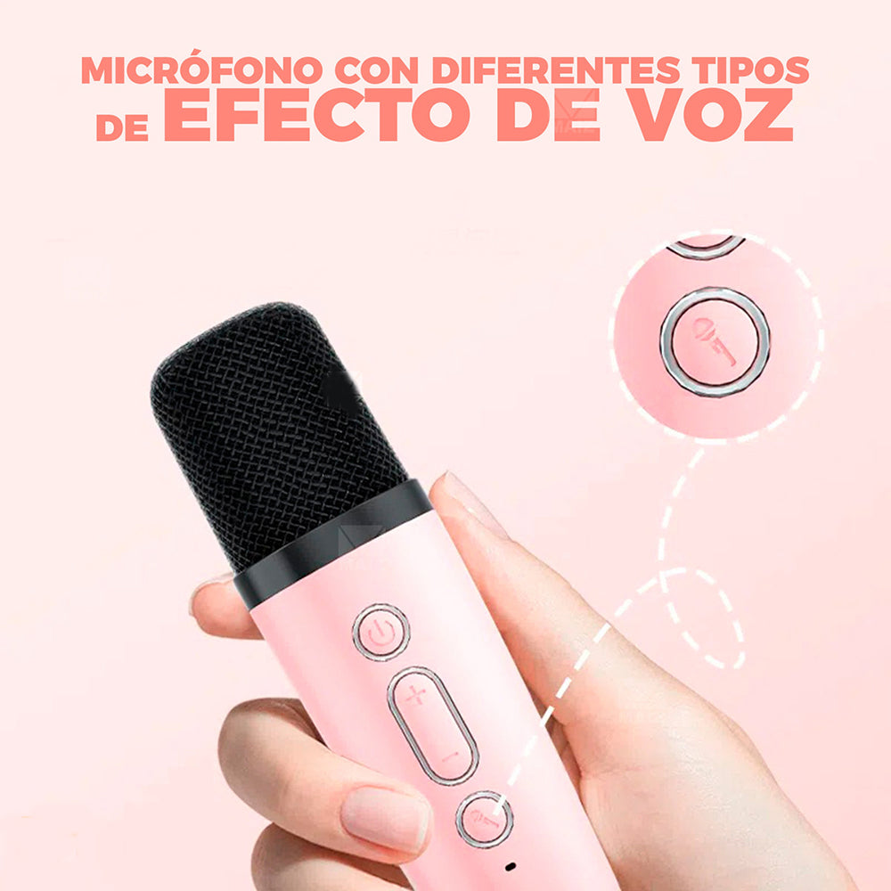 Bocina Karaoke Bluetooth FM dual microfono portatil WL-391 - Imagen 3