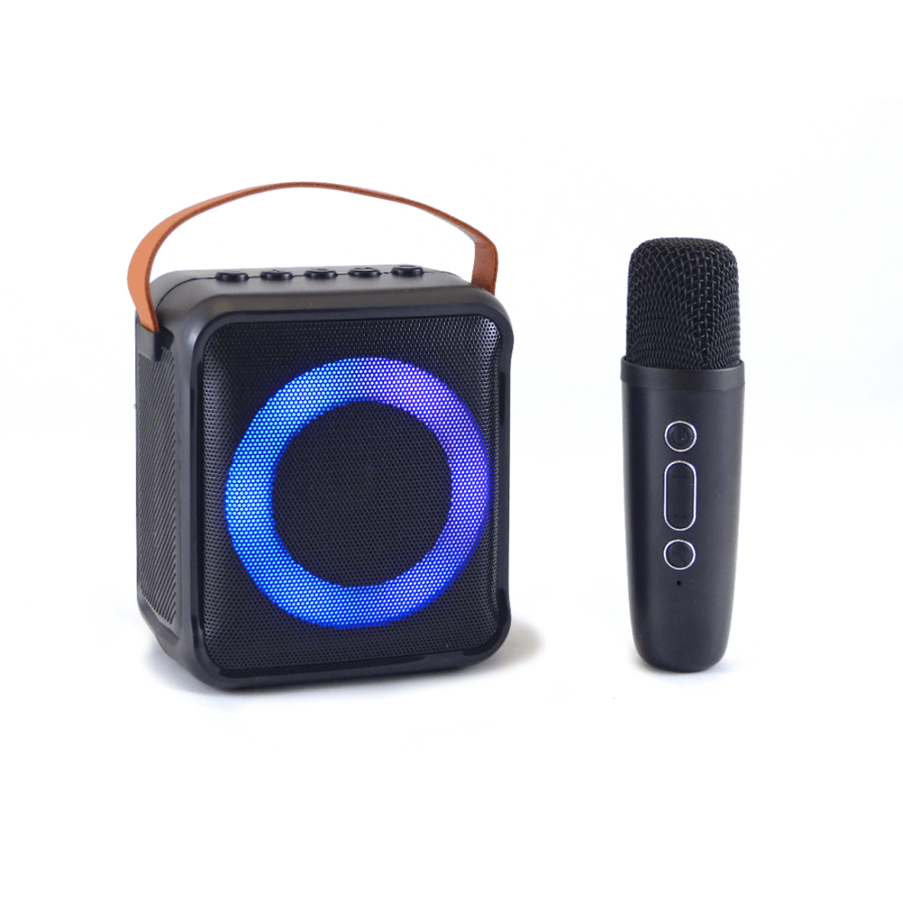 Bocina Karaoke Bluetooth FM dual microfono portatil WL-391 - Imagen 9
