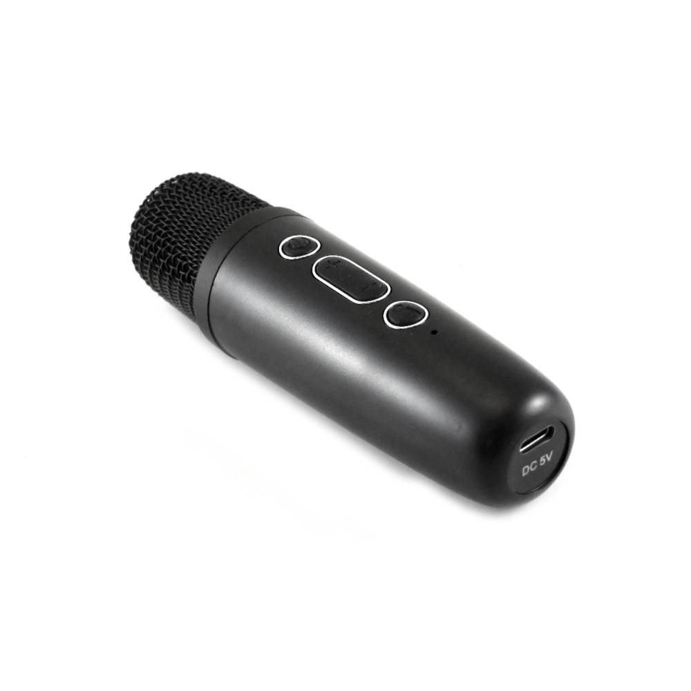 Bocina Karaoke Bluetooth FM dual microfono portatil WL-391 - Imagen 10