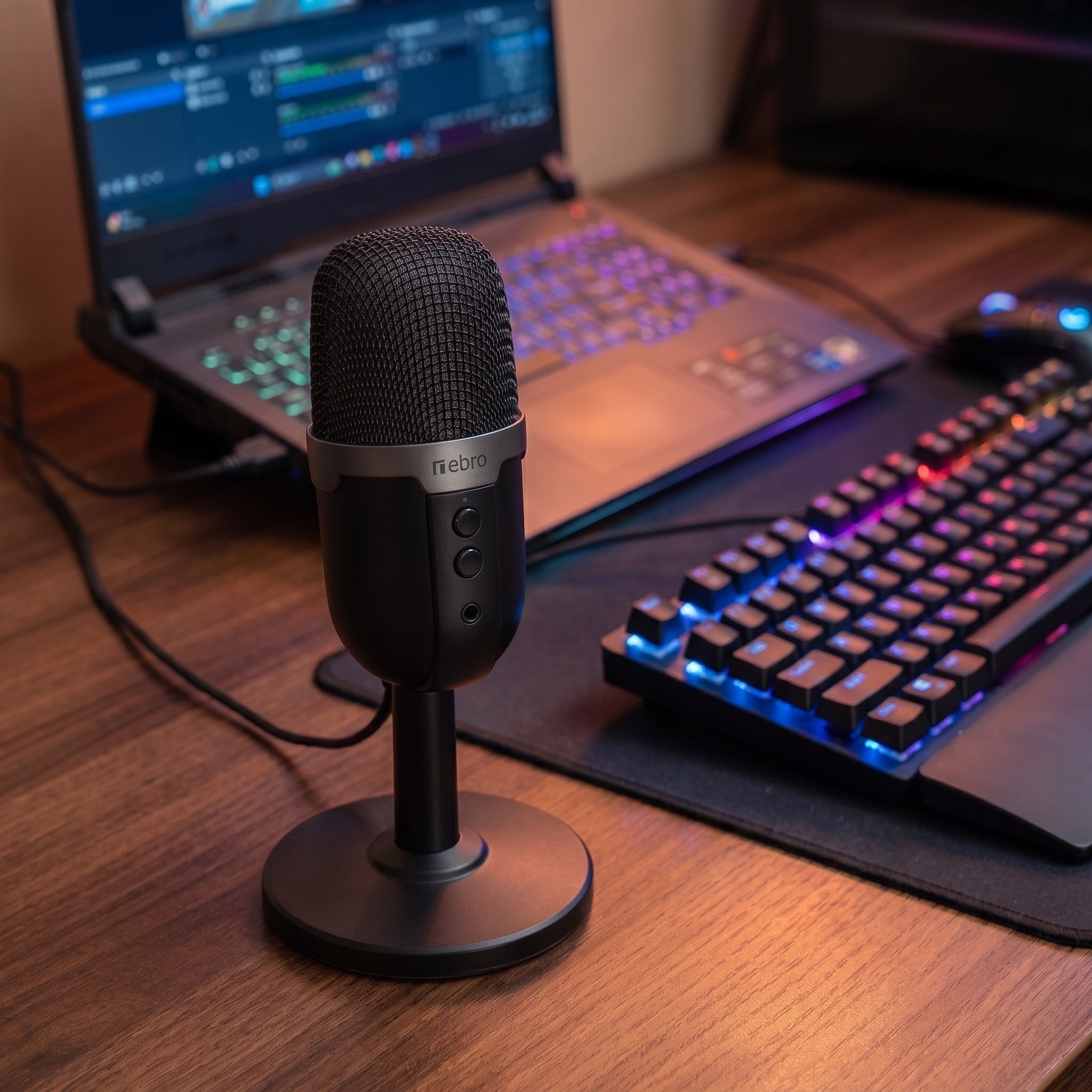 Micrófono Nebro WAT-097 Gamer Escritorio Luces RGB Plug And Play - Imagen 2