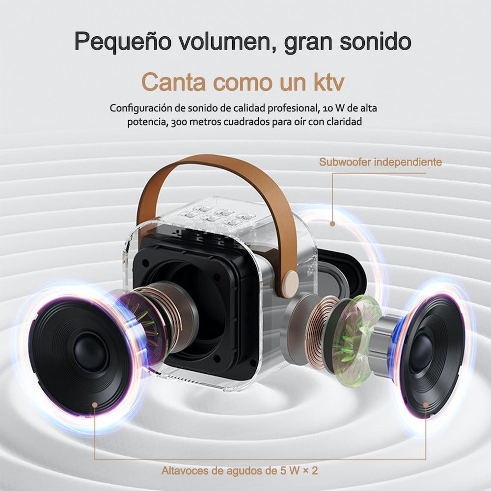 Bocina Karaoke Bluetooth FM dual microfonos portatil WL-395 - Imagen 6