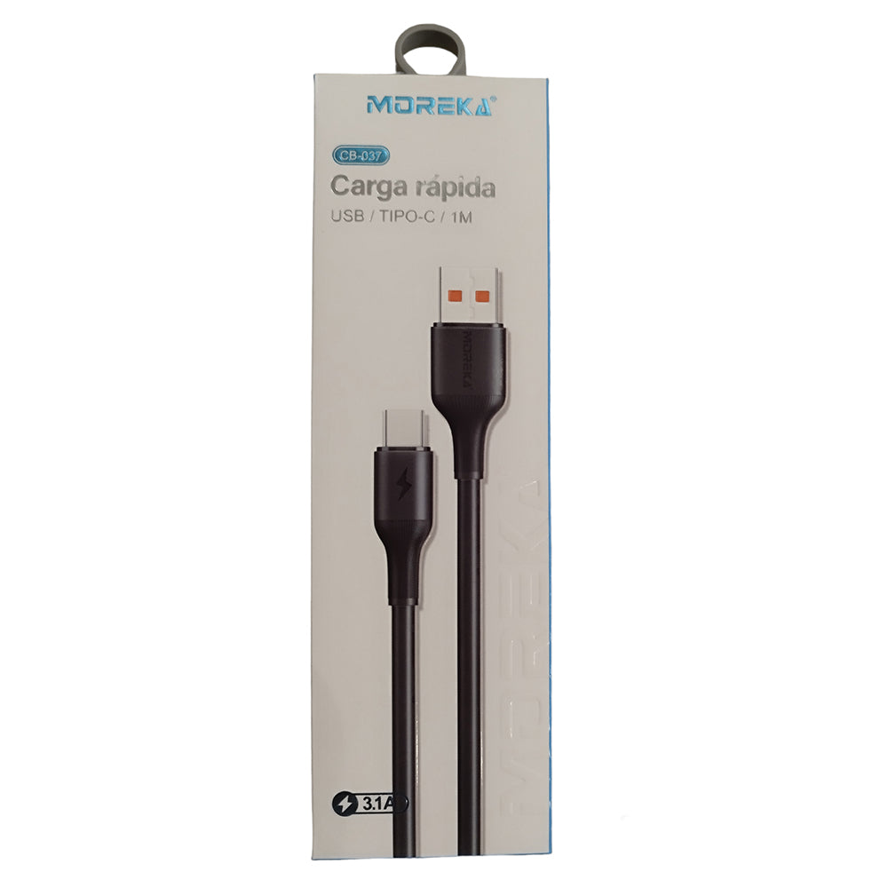 Cable Tipo C CB-037 3.1 A y Datos de 1 M - Imagen 2